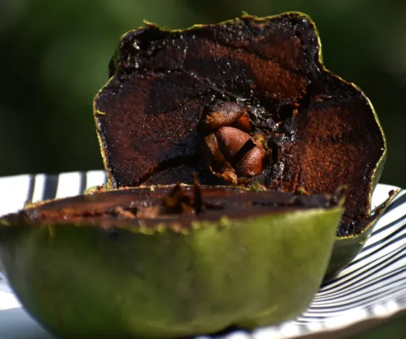 Black Sapote (Chocolate Pudding Fruit)