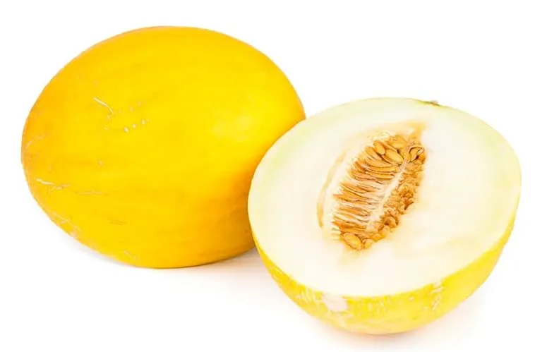 Sweet Canary Melon