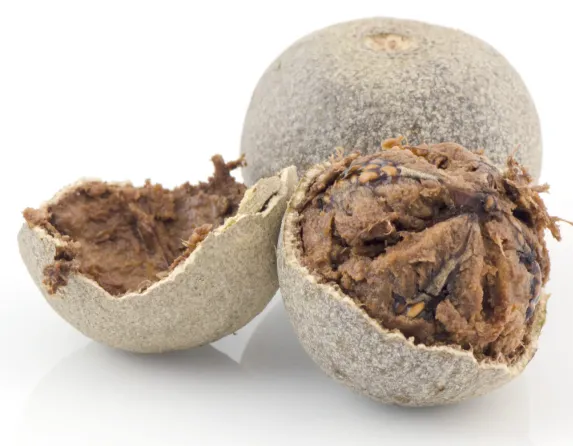 Kawista / Wood Apple