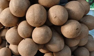 Kepel Fruit (Stelechocarpus burahol)