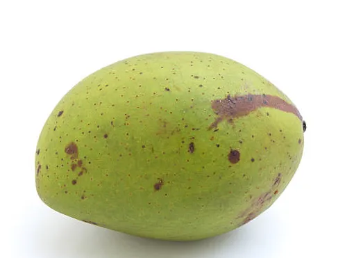 Aromatic Bacang Mango