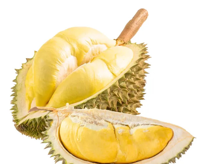 King of Fruits - Musang King Durian (Frozen)