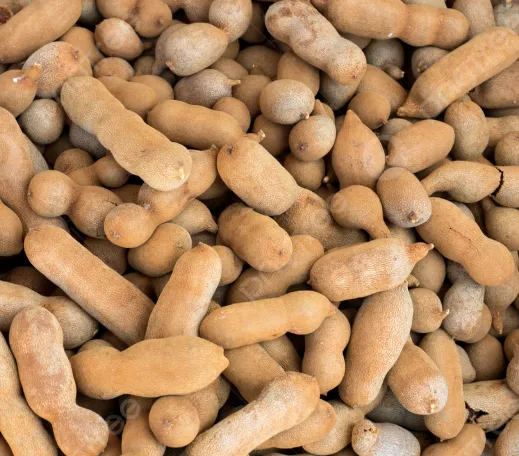 Fresh Tamarind (Asam Jawa)