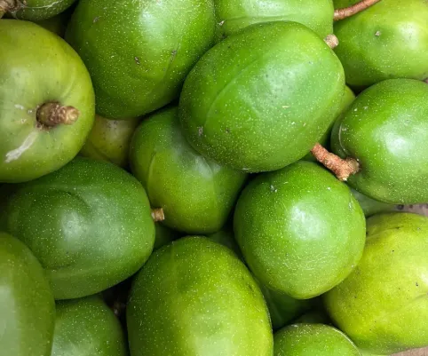 Ambarella/June Plum