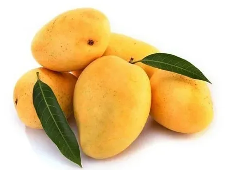 Aromatic Kuini Mango (Fragrant Mango)