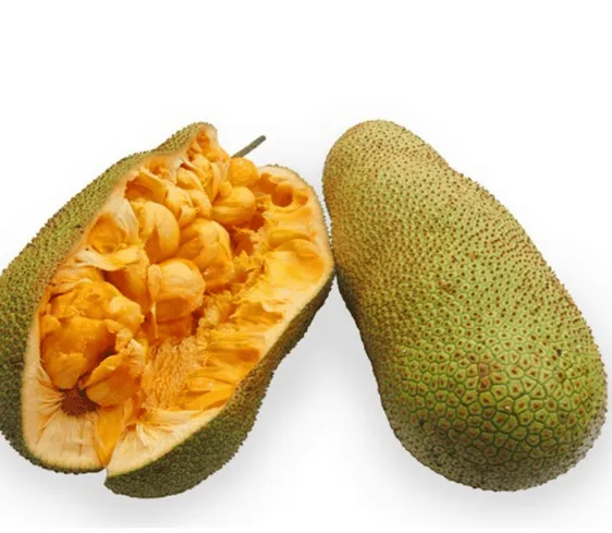 Cempedak King