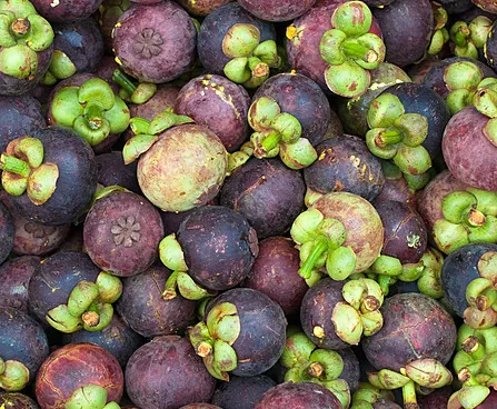 Manggis Kaligesing (Mangosteen)