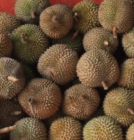 Durian Petruk