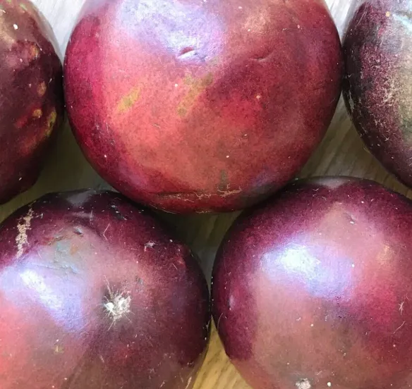 Green-Skinned Star Apple (Cainito)