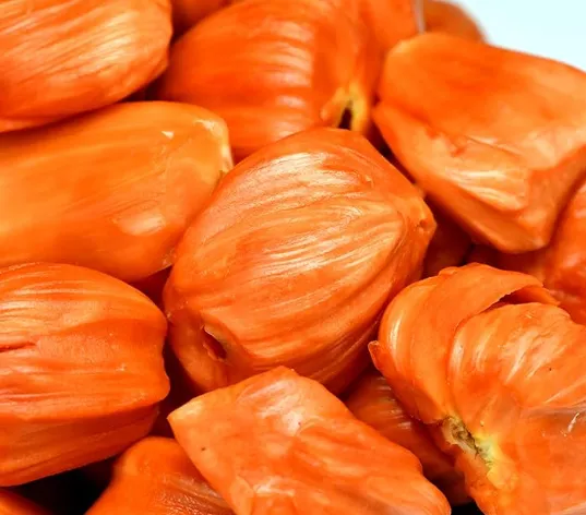 Red-Fleshed Jackfruit