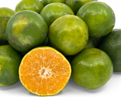 Green-Skinned Sweet Orange (Pacitan)
