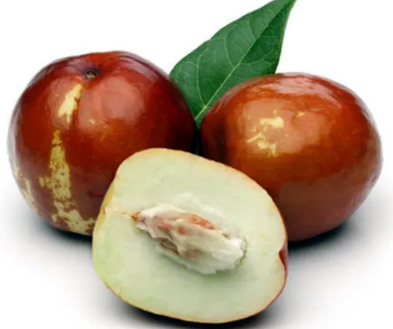 Fresh Jujube (Bidara Arab)