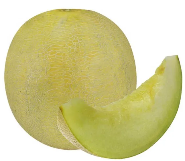 Rock Melon (Sky Rocket)
