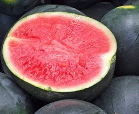 Black Diamond Watermelon