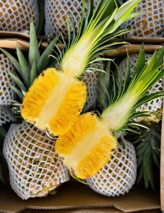 Smooth Cayenne Pineapple