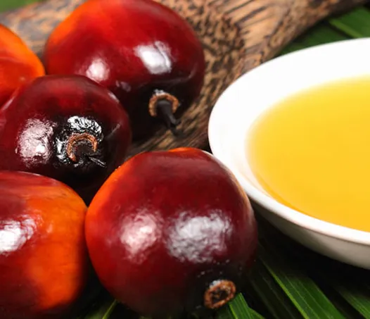 Crude Palm Oil (CPO)
