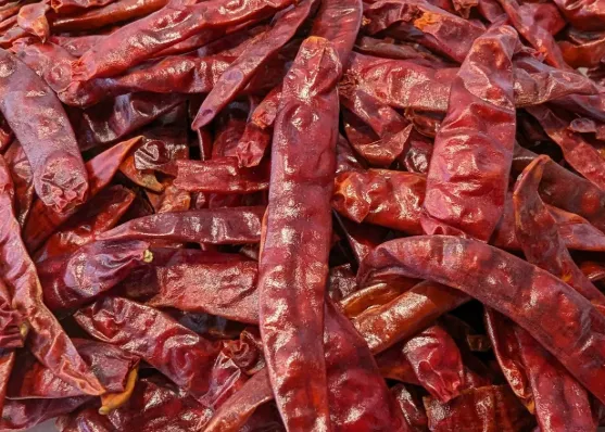 Chile de Árbol (Dried)