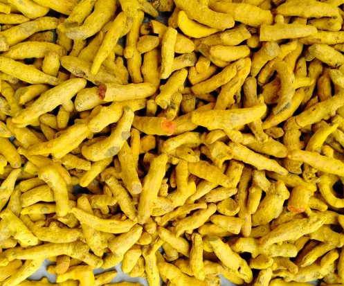 Dried Whole Turmeric (Polished)