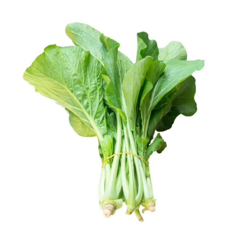 Choy Sum (Chinese Flowering Cabbage)
