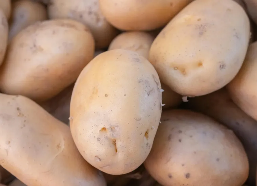 Yukon Gold Potatoes