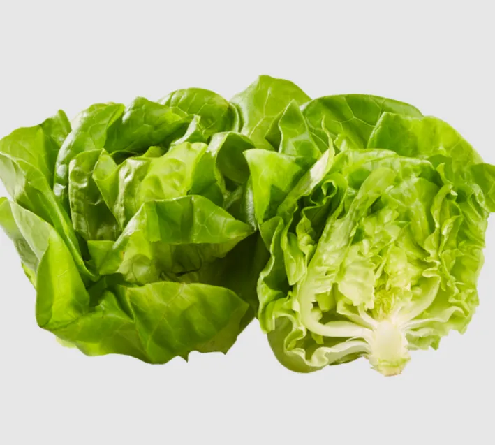 Butter Lettuce (Boston/Bibb)