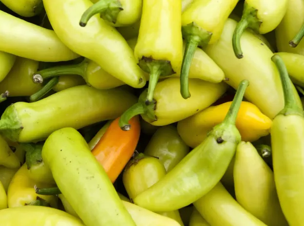 Banana Peppers (Hot Variety)