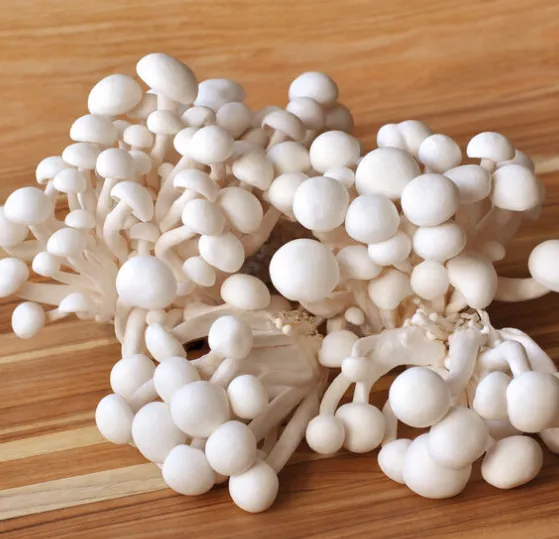Shimeji Mushrooms (Beech Mushrooms)