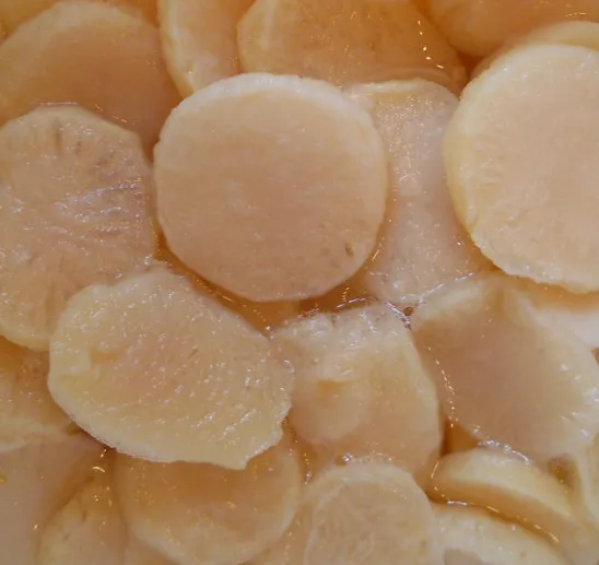 Canned Water Chestnuts (Sliced)