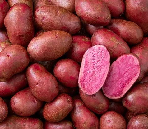 Red Bliss Potatoes