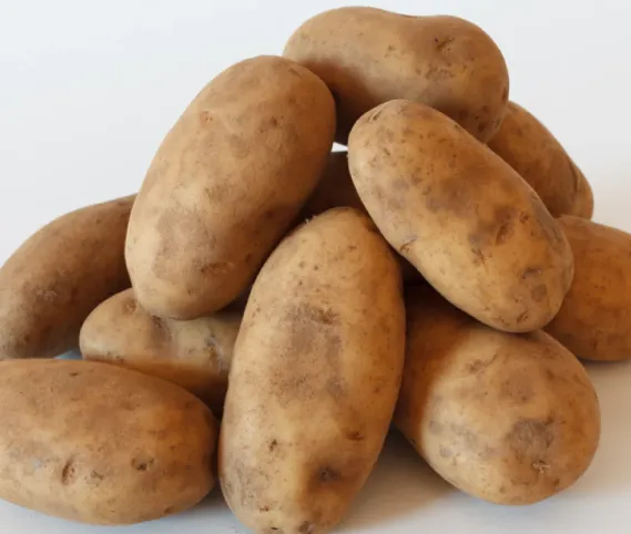 Russet Potatoes (Baking Potatoes)