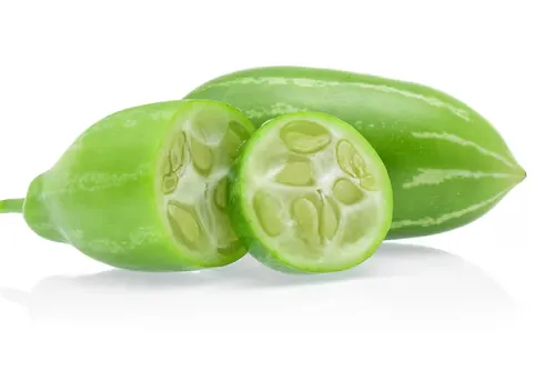 Ivy Gourd (Coccinia grandis)