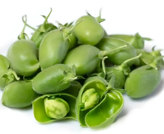 Fresh Green Chickpeas (Hara Chana)