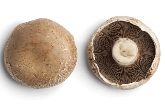 Portobello Mushrooms