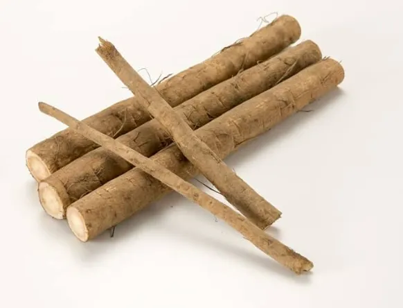 Burdock Root (Gobo)