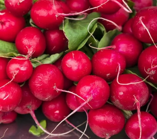 Cherry Belle Radish