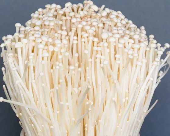 Delicate Enoki Mushrooms