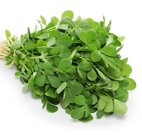 Fresh Fenugreek Leaves (Methi)