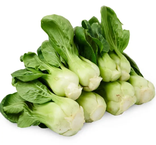 Shanghai Green Bok Choy
