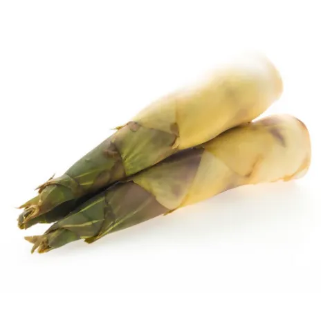 Fresh Bamboo Shoots