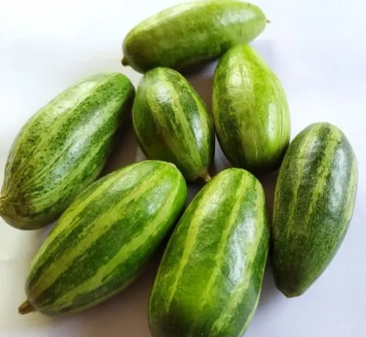 Pointed Gourd (Parwal)