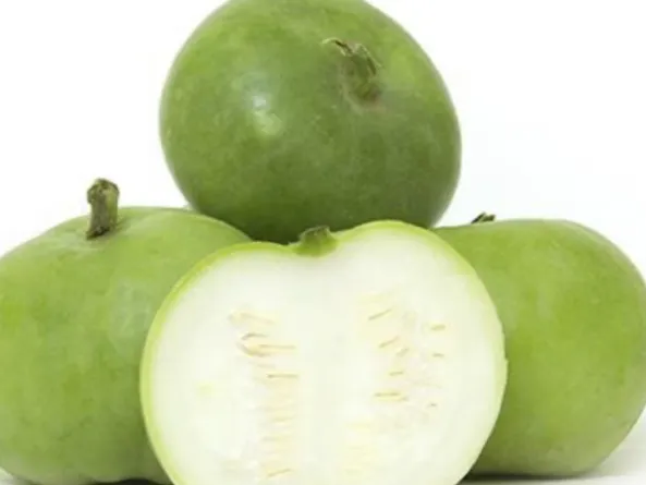 Tinda Gourd (Indian Squash)