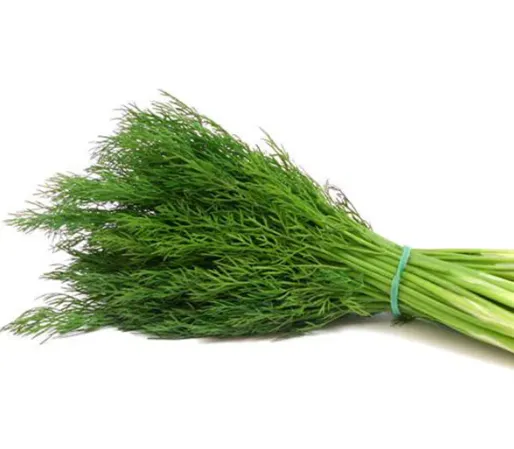 Fresh Dill Weed