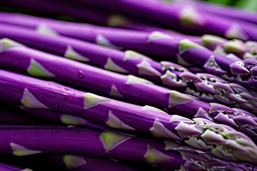 Purple Asparagus