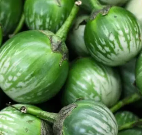 Green Round Eggplant (Thai)