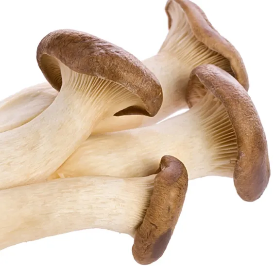 King Oyster Mushrooms (Eryngii)