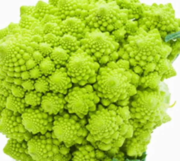Romanesco Broccoli (Fractal Broccoli)