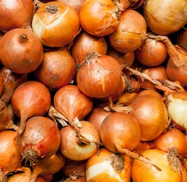 Golden Yellow Onions