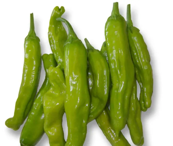 Japanese Shishito Peppers