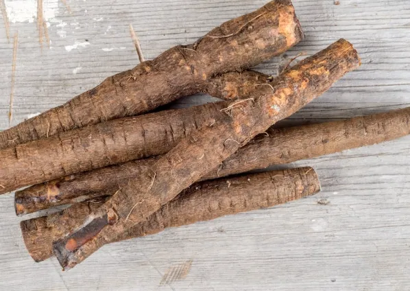 Oyster-Flavored Salsify Root