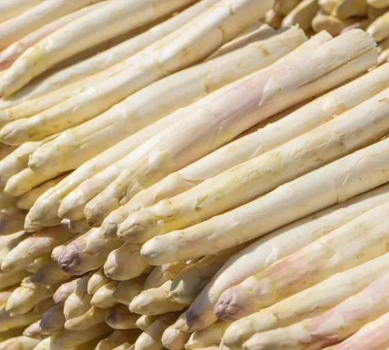 White Asparagus